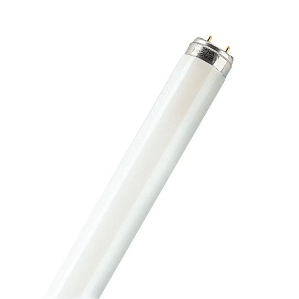 Lampada Fluorescente T10 20W 5000K - Philips