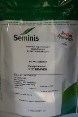 Semente Melancia Híbrida Red Heaven (Seminis) - 1.000 sementes