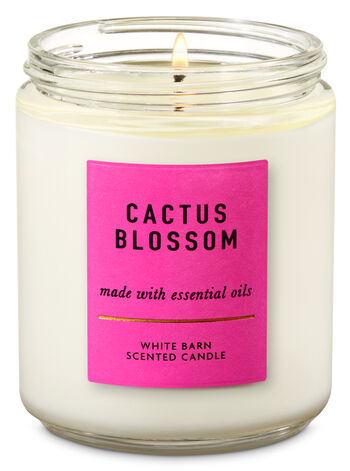 Bath & Body Works - Vela Pavio Simples - Cactus Blossom