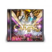 CD BANDA CALYPSO - 15 ANOS (CD 1)