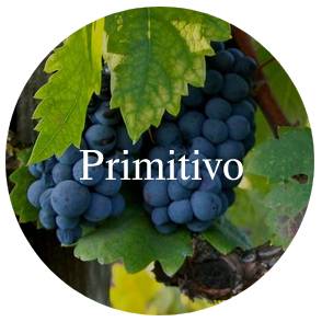 Vinhos/primitivo