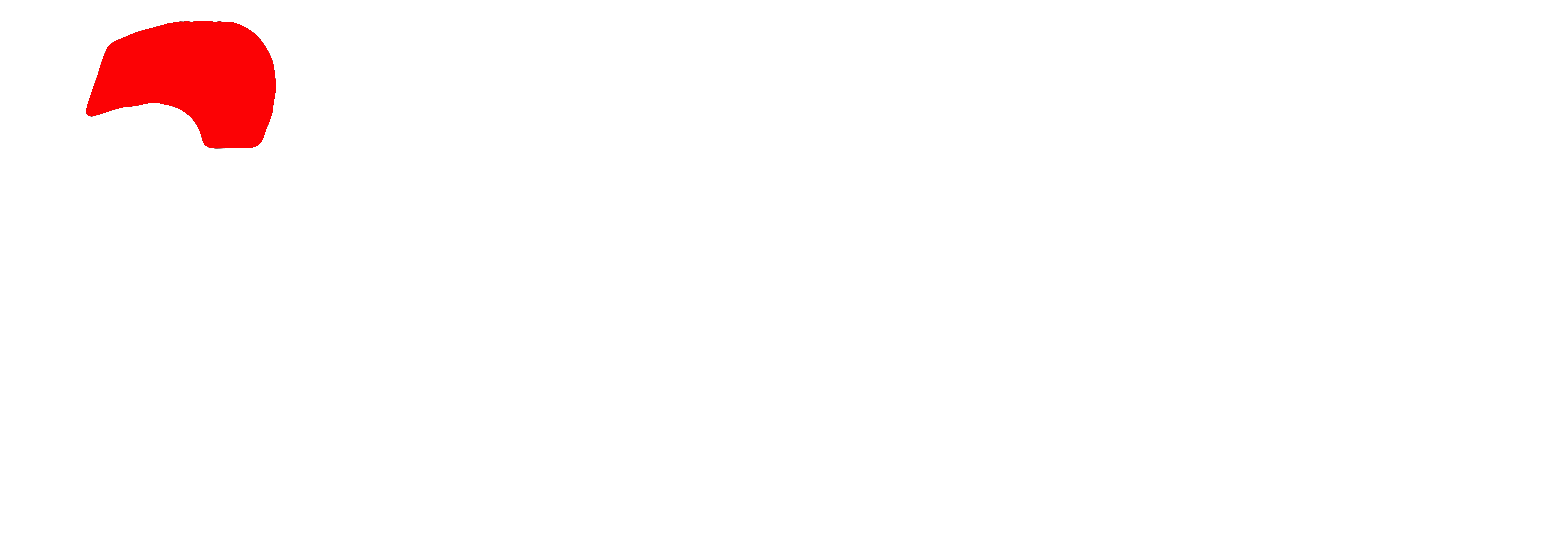 Bononi Acessórios