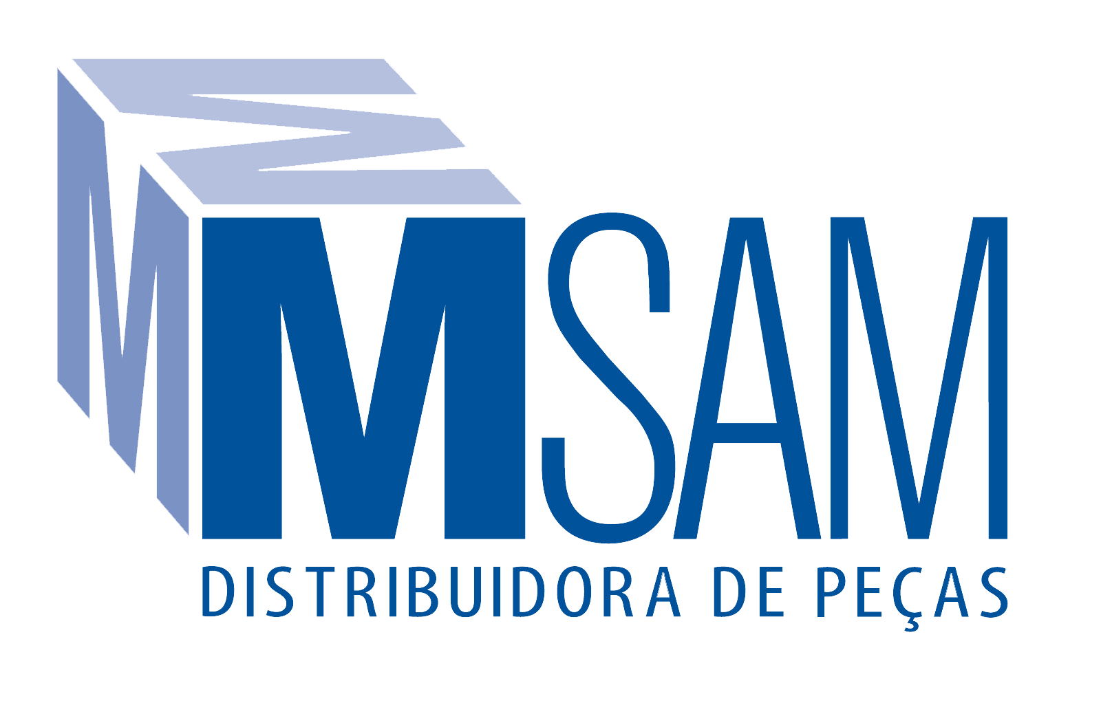 MSAM Distribuidora de Peças para Caminhões e Ônibus