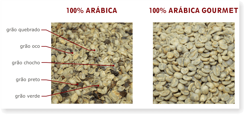 Diferença dos Grãos com e sem defeitos do Café Arábica