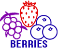 Juice Sabor berries