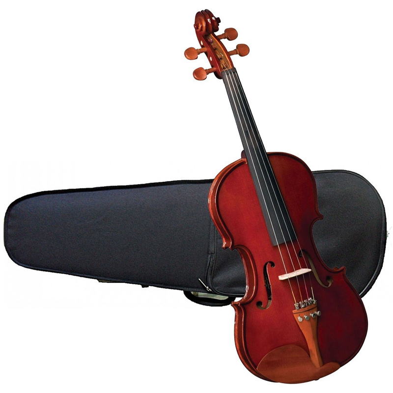Violino Clássico 1/2 Envernizado Hofma