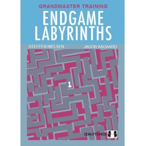 Endgame Labyrinths (CAPA DURA)
