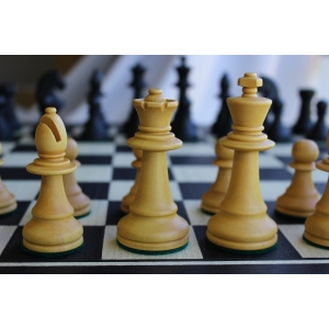 Jogo de xadrez Staunton Argentino - com estojo de madeira