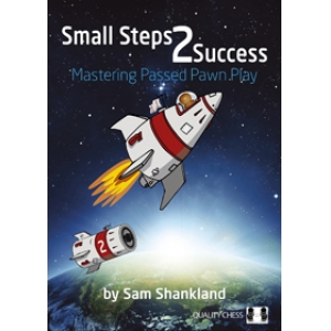 Small Steps 2 Success