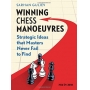 Winning Chess Manoeuvres: Strategic Ideas That Masters Never Fail to Find