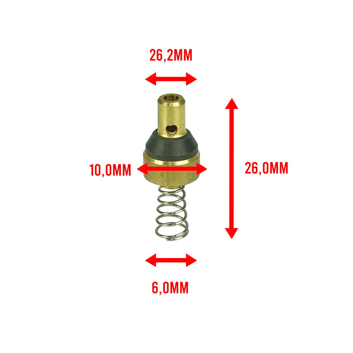 Válvula Unidirecional do Compressor Elétrico PCP AR15 SPORT