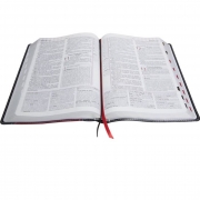 Bíblia De Estudo Plenitude Em Letra Vermelha -Nova Edição