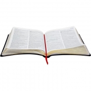 Bíblia Sagrada / Preto / Slim - (ARC)