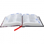 Bíblia Sagrada Edição com Notas para Jovens