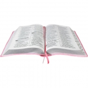 Bíblia Sagrada Letra Gigante / Rosa Claro - (ARA)