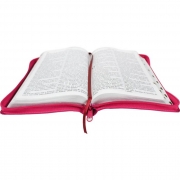 Bíblia Sagrada Letra Gigante / Uva / Ziper - (ARC)