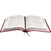 Bíblia Sagrada Letra Gigante / Pink  - (ARC)
