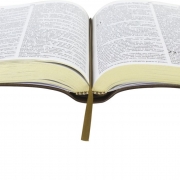 Bíblia Sagrada Letra Grande / Marrom - (ARC)
