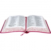 Bíblia Sagrada Letra Grande / Pink - (ARA)