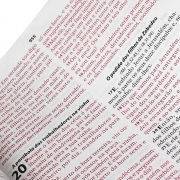 Bíblia Sagrada Letra Grande, Edição com Letras Vermelhas, Concordância, Dicionário e Harpa Cristã