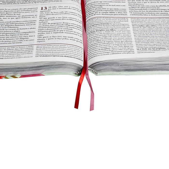 A Bíblia Da Mulher | Arc | Capa Couro Bonded | Rosa Claro