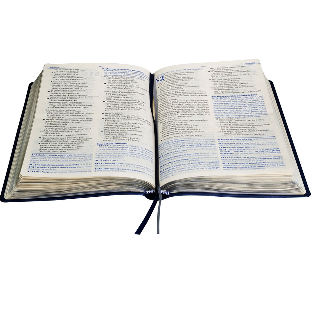 Bíblia de Estudo NTLH - Couro sintético Azul: Nova Tradução na Linguagem de Hoje (NTLH)  - Universo Bíblico Rs
