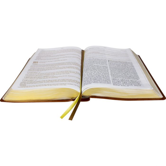 Bíblia de Estudo Pregando com Poder - Universo Bíblico Rs