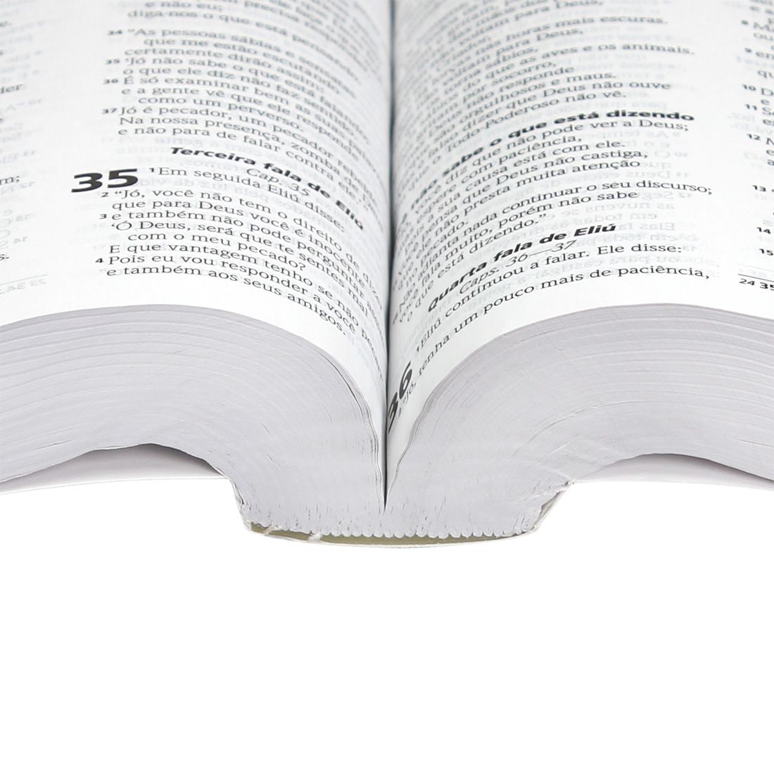 Bíblia Sagrada com método Lectio Divina