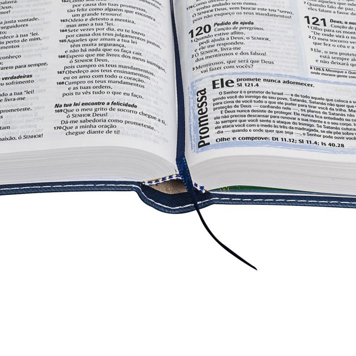 Bíblia Sagrada Edição com Notas para Jovens  - Universo Bíblico Rs