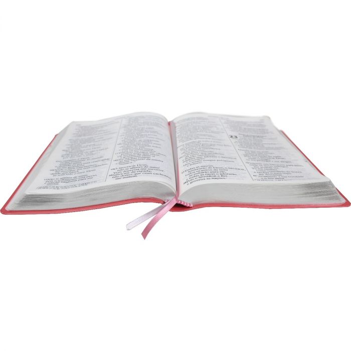 Bíblia Sagrada Letra Extragigante / Pessego  - (NTLH)