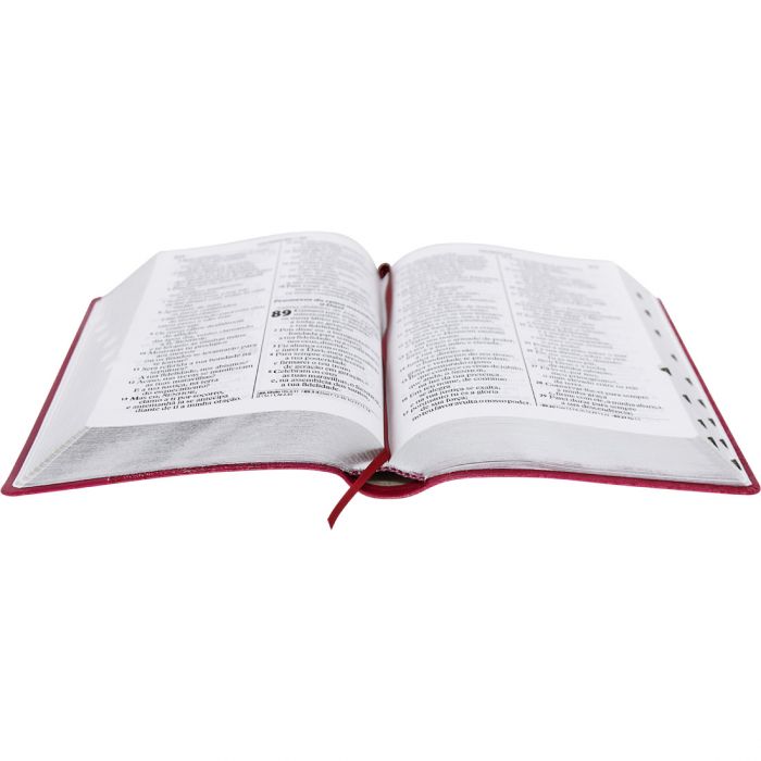 Bíblia Sagrada Letra Gigante / Pink  - (ARA) - Universo Bíblico Rs