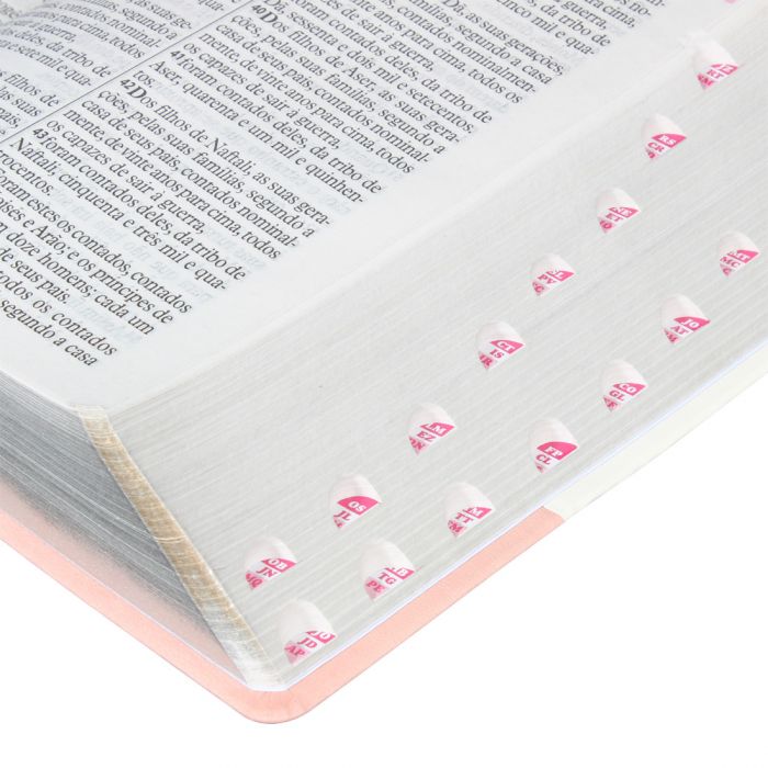 Bíblia Sagrada Letra Gigante / Ros e Pink - (ARA)