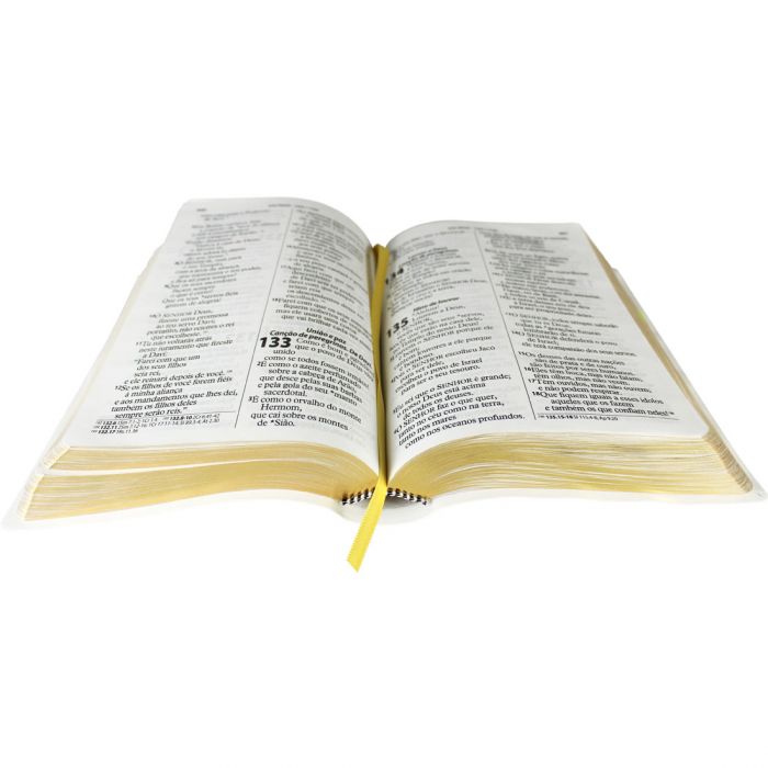 Bíblia Sagrada Letra Gigante / Branco - (NTLH)