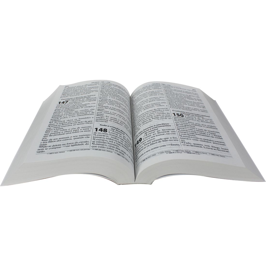 Biblia Sagrada / Letra Gigante / NAA