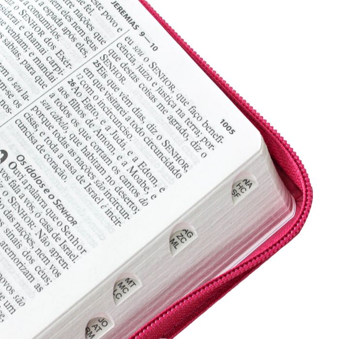 Bíblia Sagrada Letra Grande / Pink / Ziper - (ARC)