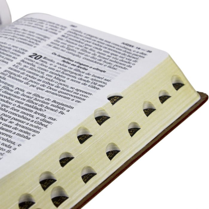 Bíblia Sagrada Letra Grande / Marrom - (ARC)