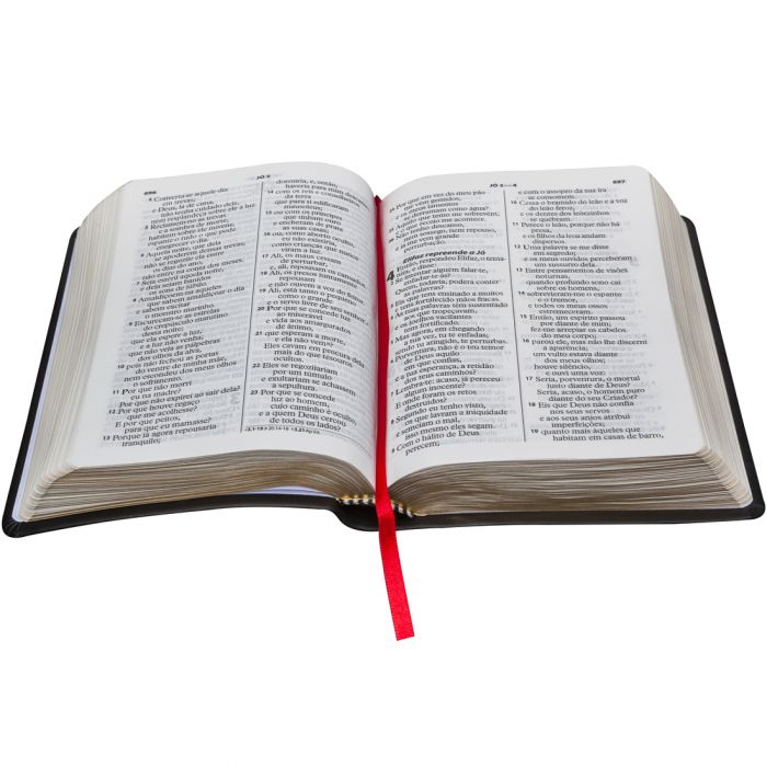 Bíblia Sagrada Letra Grande / Preto - (ARA)