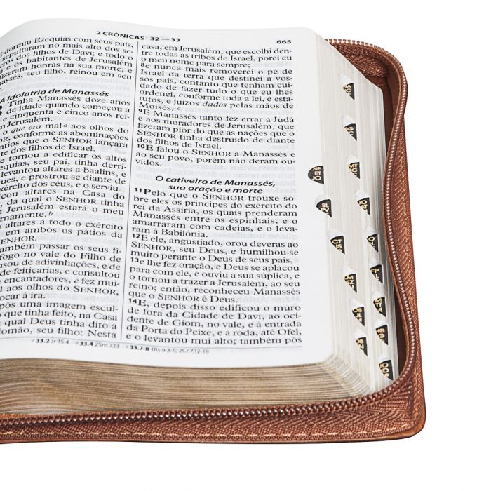 Bíblia Sagrada Letra Grande - Universo Bíblico Rs