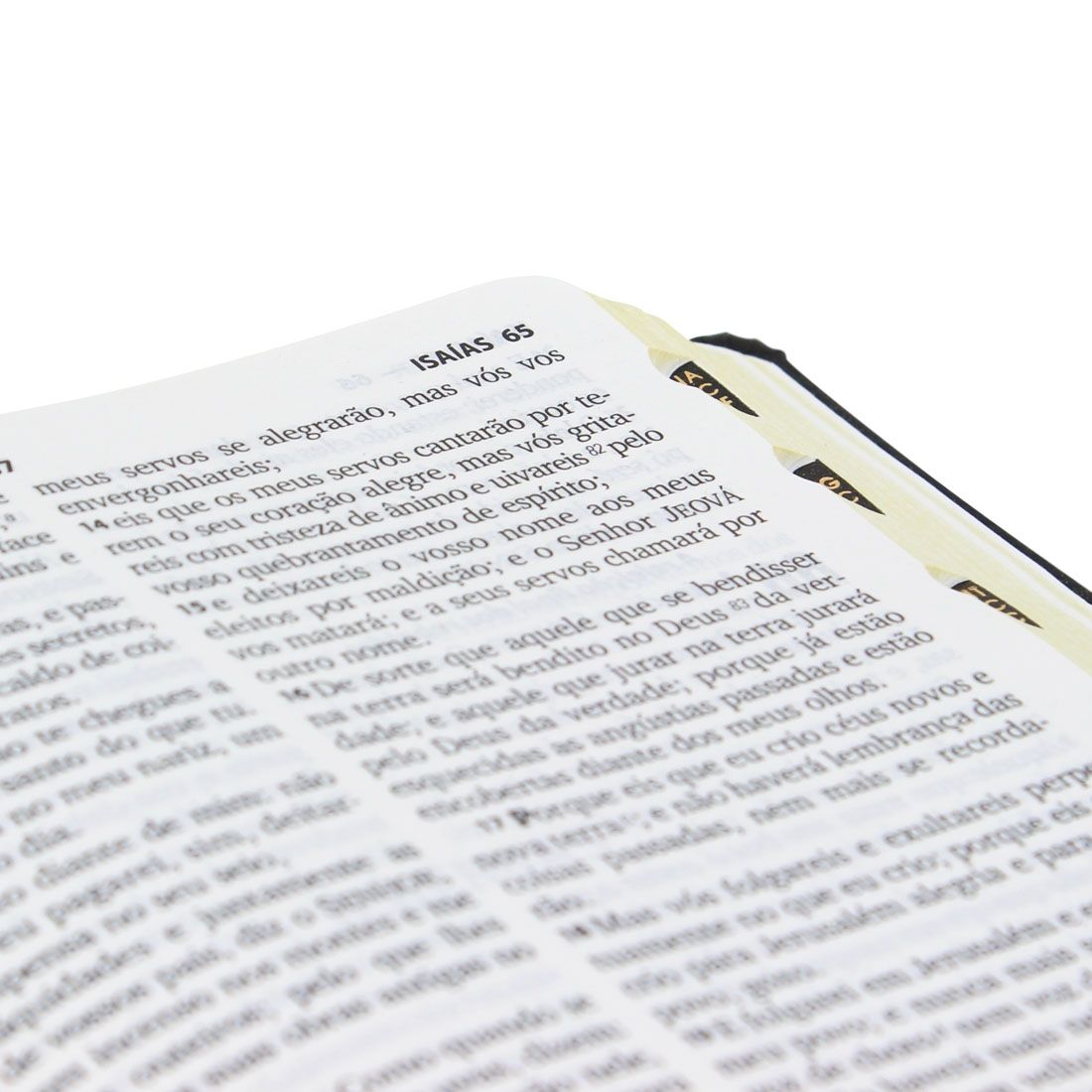 Bíblia Sagrada Letra Grande / Preta - (ARC)