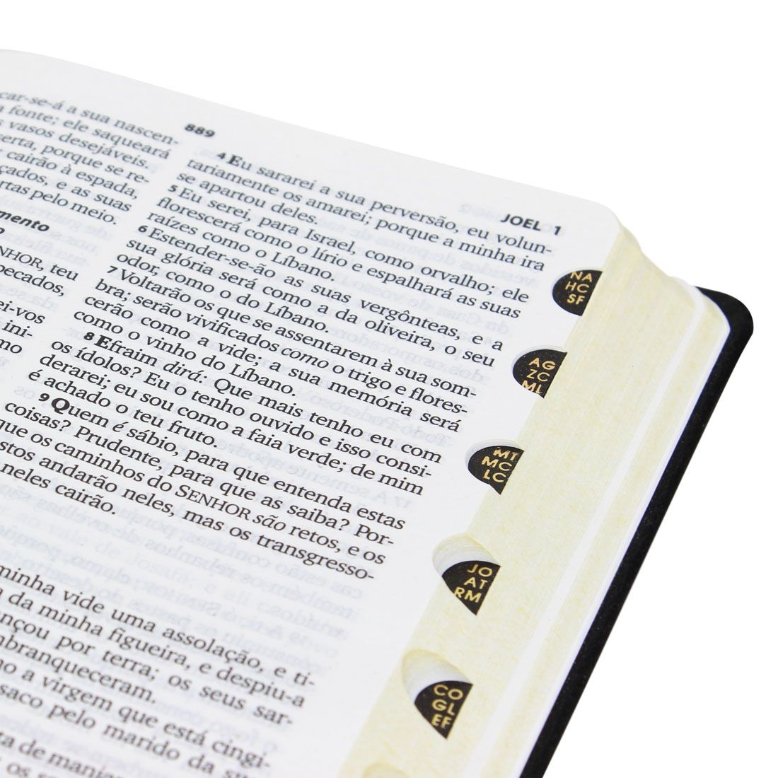 Bíblia Sagrada Letra Grande / Preta - (ARC)