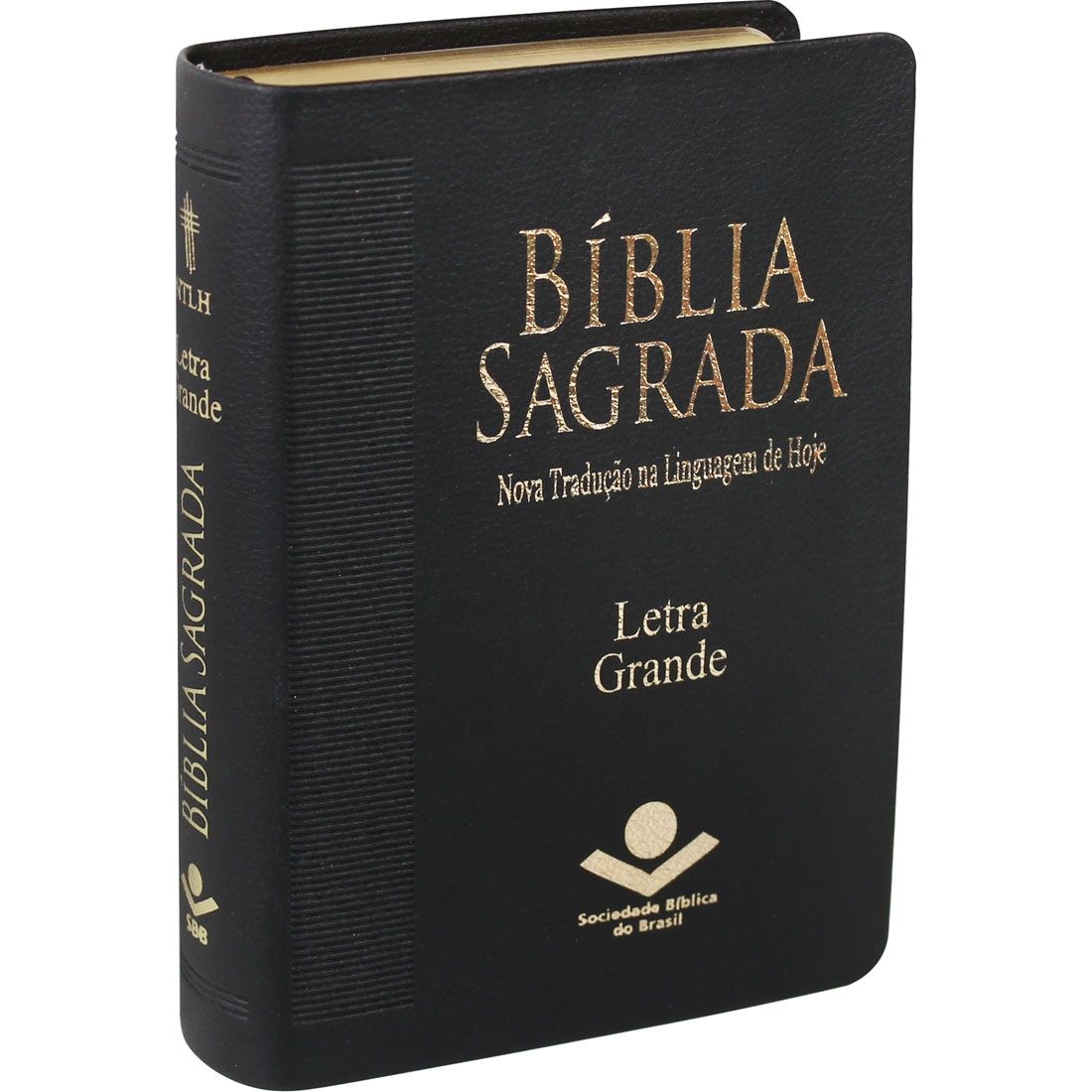 Bíblia Sagrada Letra Grande / Preta - (NTLH)