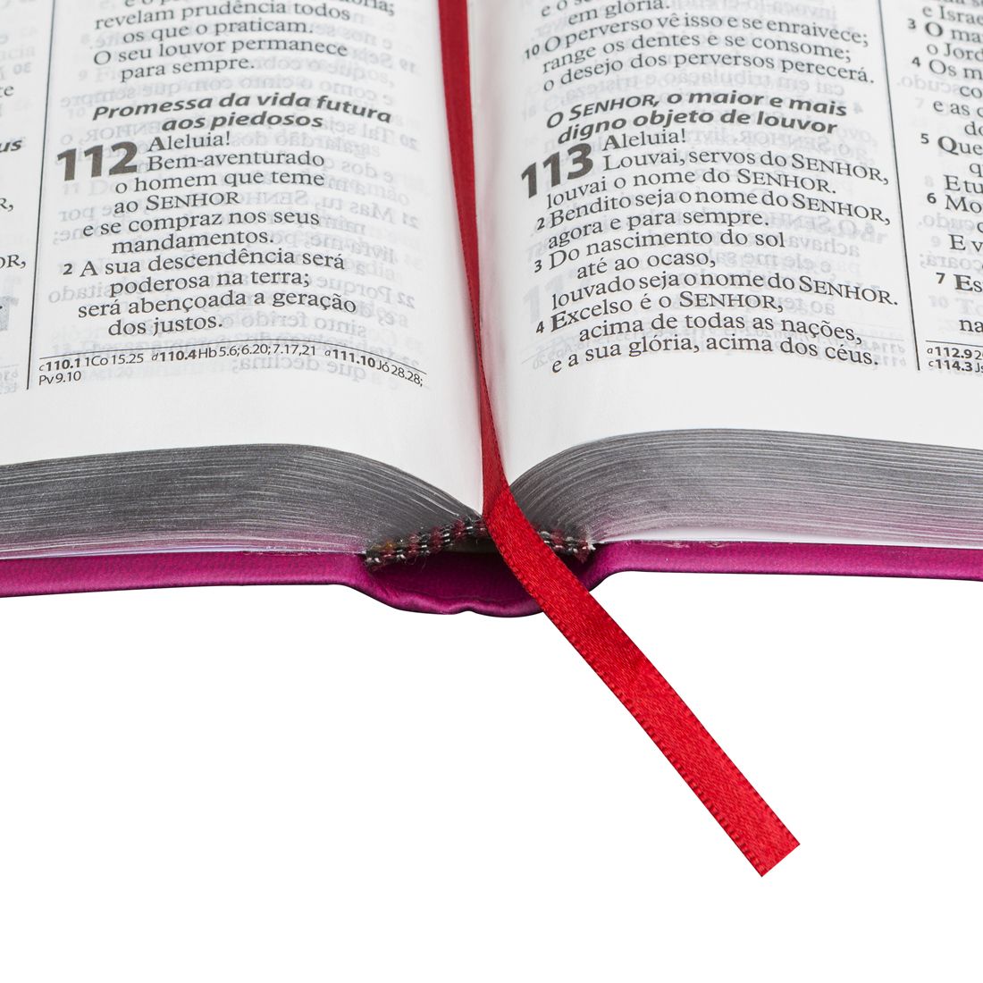 Bíblia Sagrada Letra Grande - sem índice