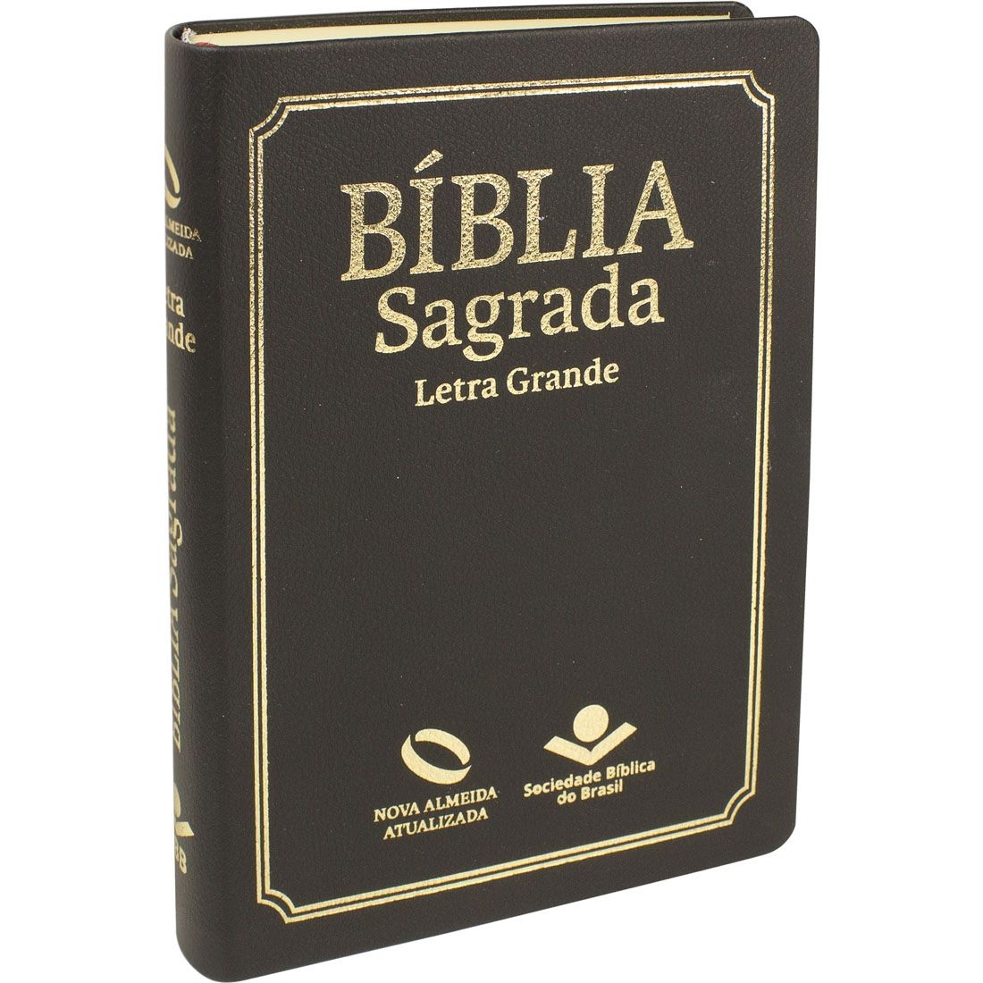 Bíblia Sagrada /NAA