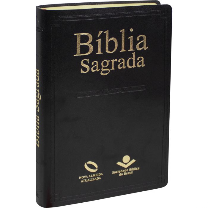 Bíblia Sagrada Slim Preto - (NAA)