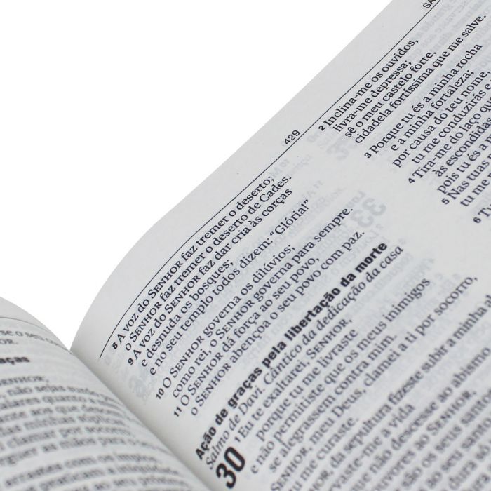 Bíblia Sagrada Slim Preto - (NAA)  - Universo Bíblico Rs