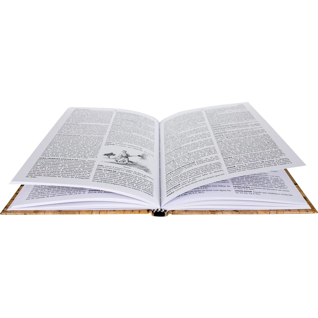 Dicionário da Bíblia de Almeida  2ª Edição: Almeida Revista e Corrigida (ARC) - Edição Acadêmica
