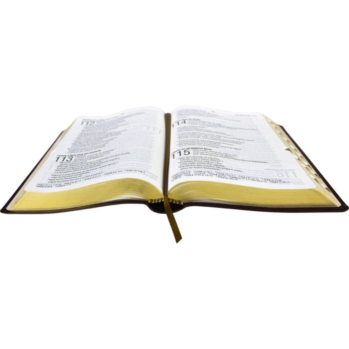 Bíblia Letra Gigante Marrom - (NAA) - Universo Bíblico Rs