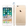 iPhone 6s Plus - Usado - Dourado - 16GB