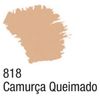 CamurçaQueimada818/Acrílica