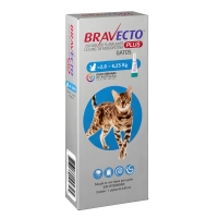 Bravecto Plus Gatos 2,8 - 6,25 kg Antipulgas e Carrapatos